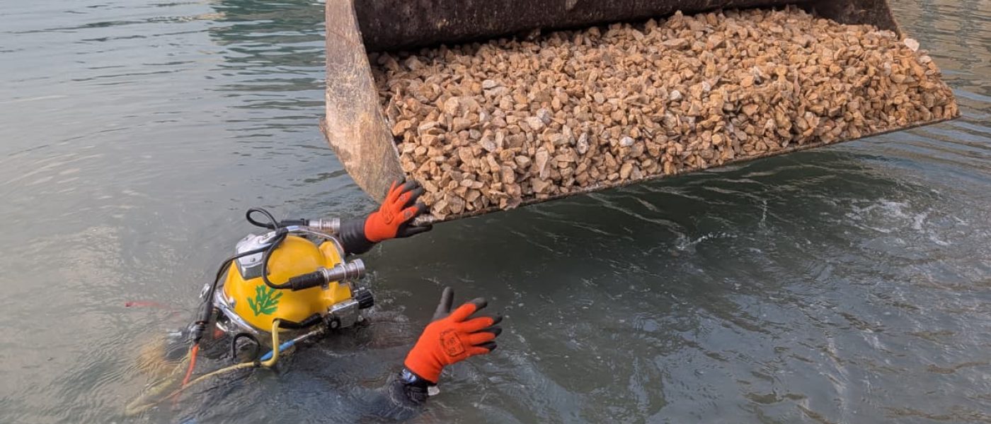 Reparación asiento de pilas - Mar de Fons Marine Services